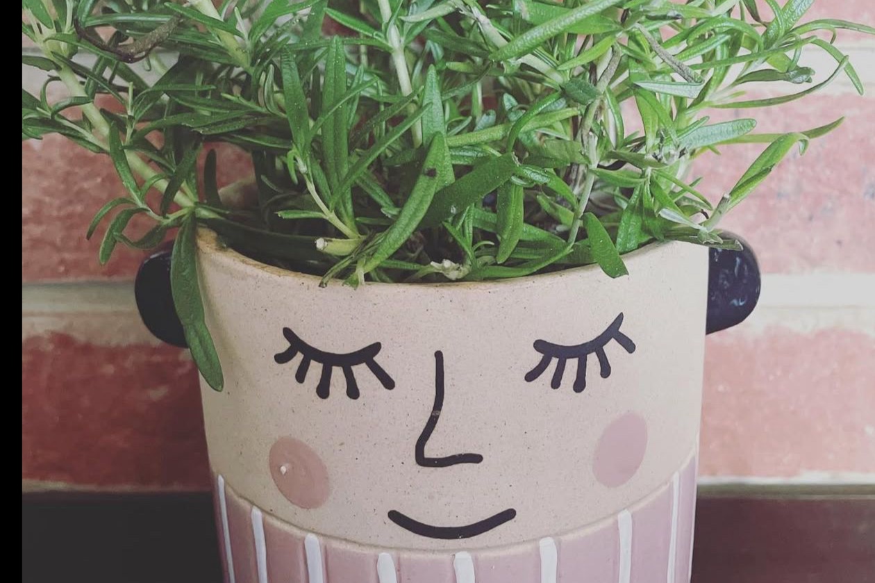 Art and plants